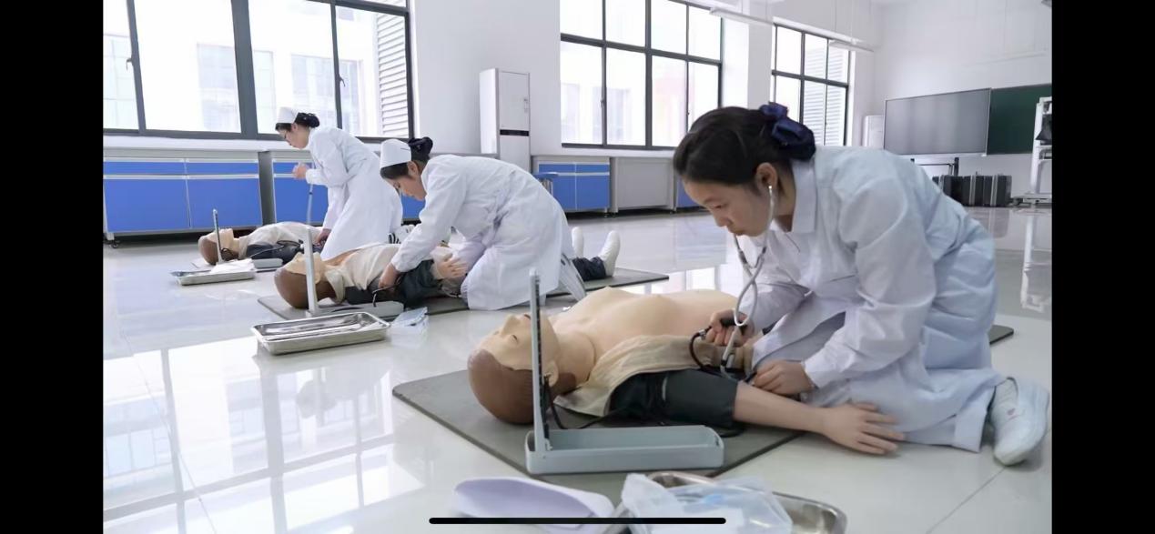 8743566757bbf8b765a1e5225fcf150