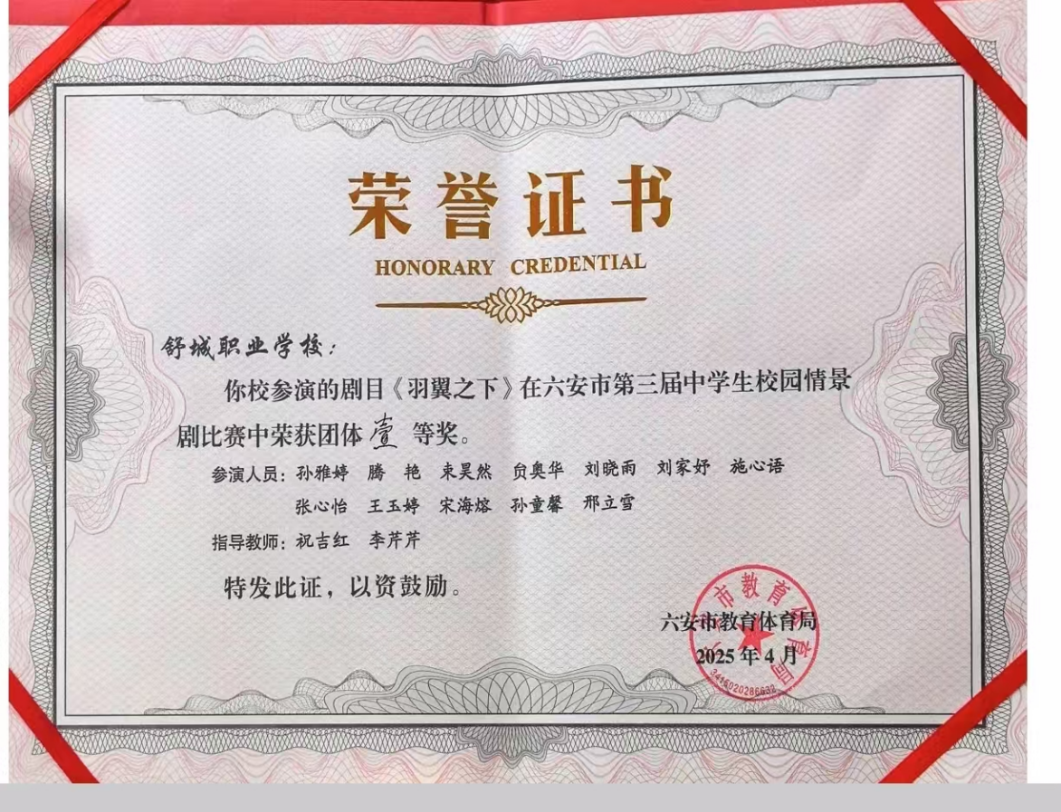 情景剧市一等奖证书